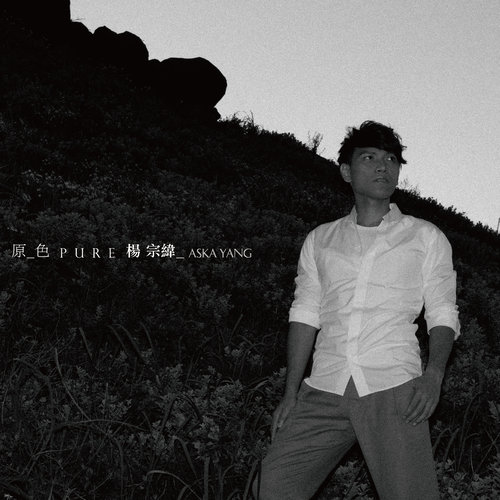 杨宗纬 - 底细歌词