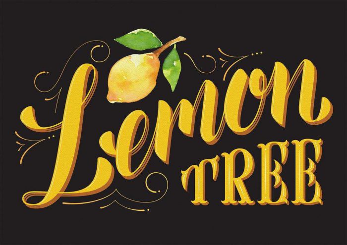 lemon tree歌词