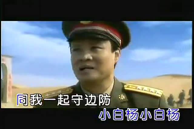 小白杨歌词