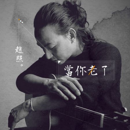 当你老了歌词