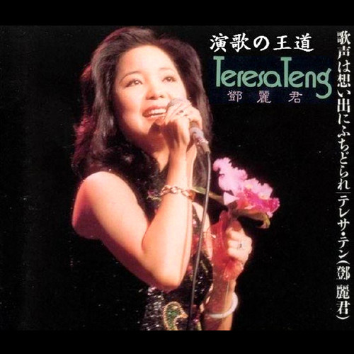 邓丽君 - ミッドナイト.レクイエム歌词
