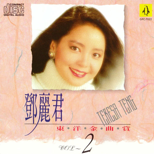 邓丽君 - 爱の终着驿 (爱情终点站)歌词