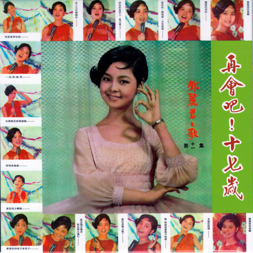 邓丽君 - 有人对我说歌词