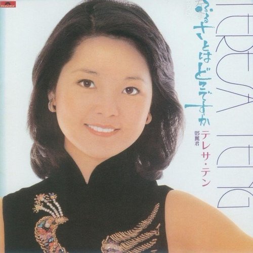 邓丽君 - こんな女 (那句诺言)歌词