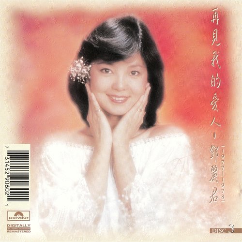 邓丽君 - 我是你知音歌词