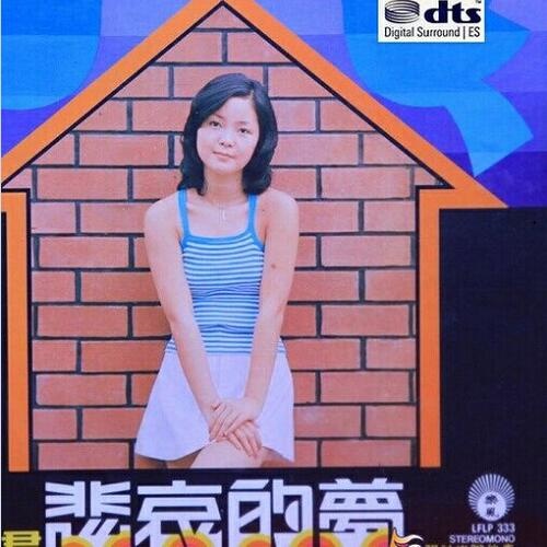 邓丽君 - 寻找歌词