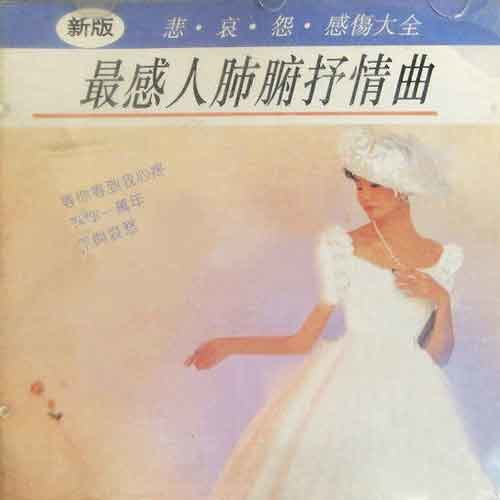 周华健 - 没有你，伤心歌词