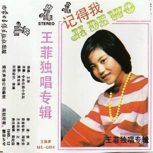 王菲 - 是你打来电话歌词