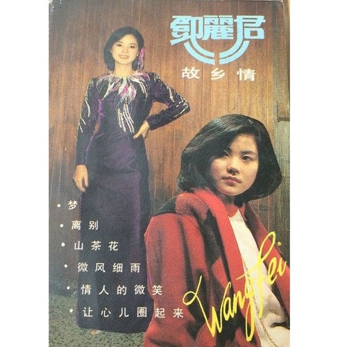 王菲 - 小小的秘密歌词