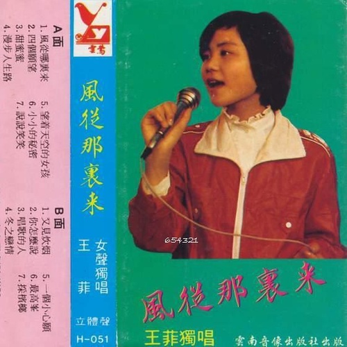 王菲 - 说说笑笑歌词