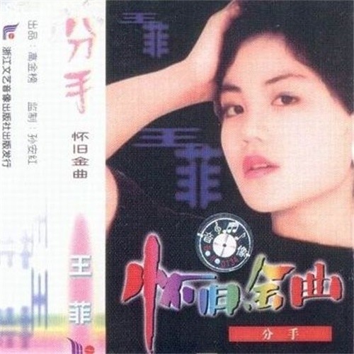王菲 - 童年的故乡歌词