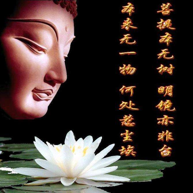 菩提本无树歌词