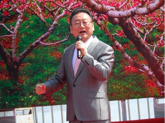 在那桃花盛开的地方歌词